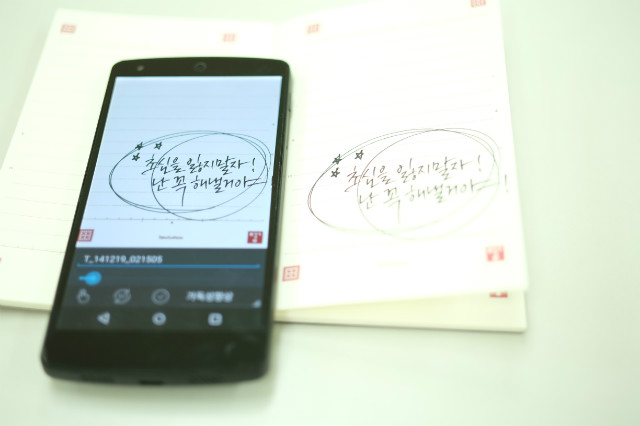 갈매기 (2).JPG